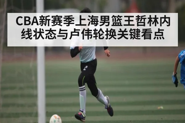 CBA新赛季上海男篮王哲林内线状态与卢伟轮换关键看点 | kaiyun