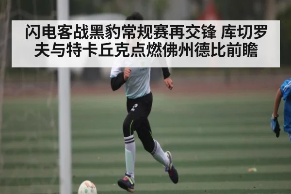 闪电客战黑豹常规赛再交锋 库切罗夫与特卡丘克点燃佛州德比前瞻 | kaiyun